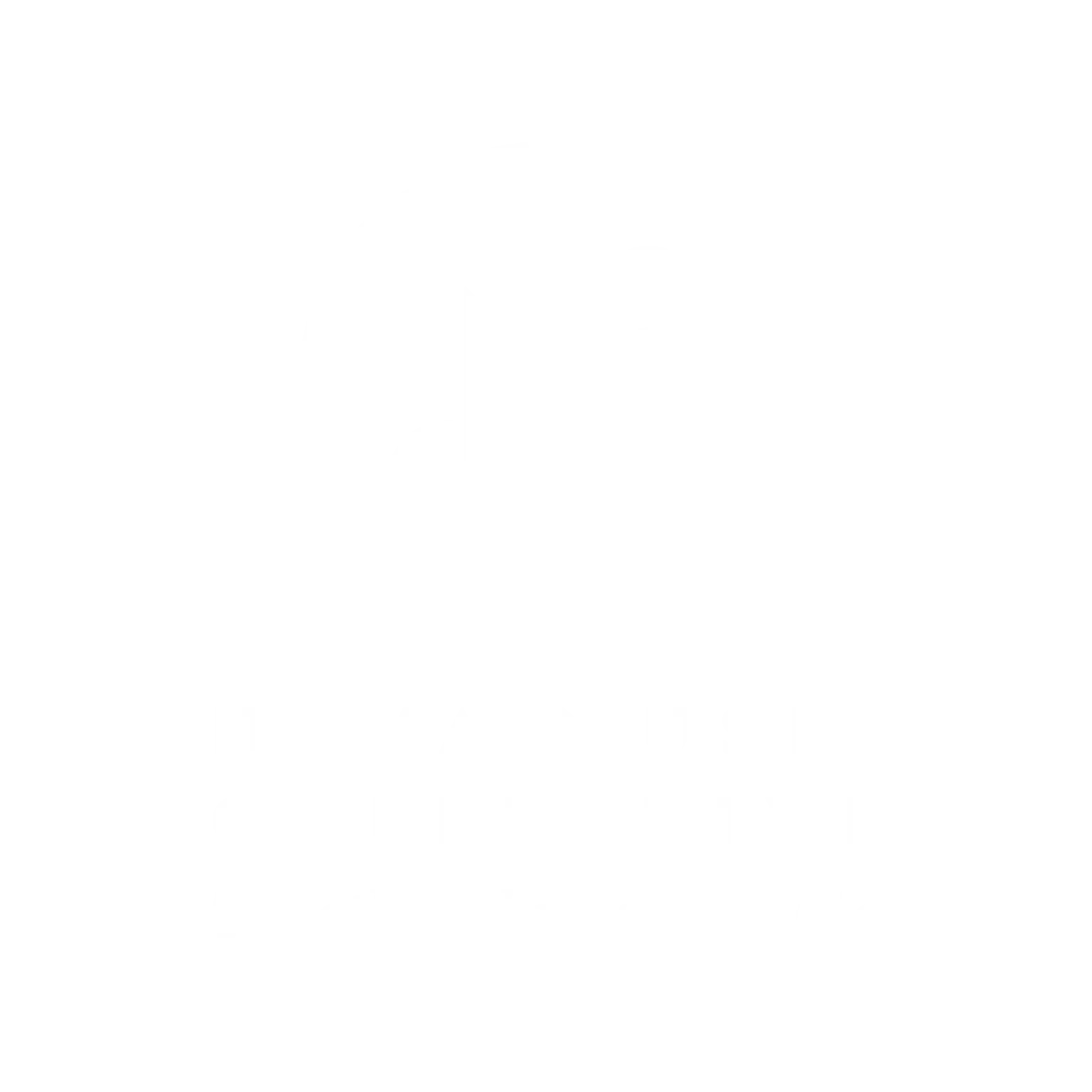 novamusiccollective logo tag stacked wh
